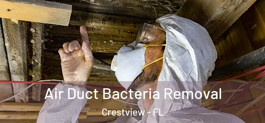 Air Duct Bacteria Removal Crestview - FL