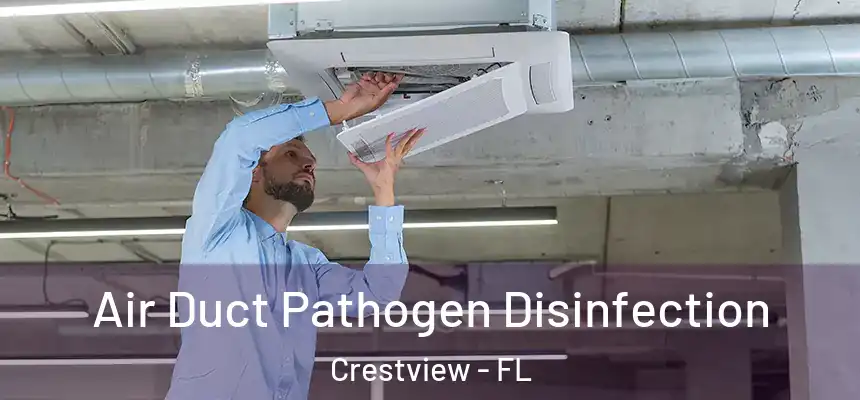 Air Duct Pathogen Disinfection Crestview - FL