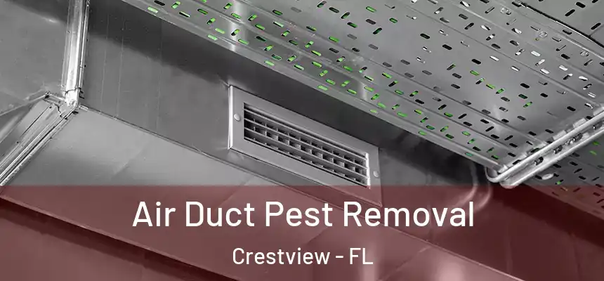 Air Duct Pest Removal Crestview - FL