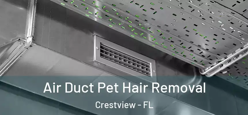 Air Duct Pet Hair Removal Crestview - FL