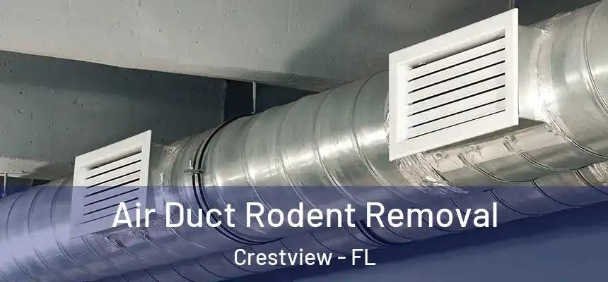 Air Duct Rodent Removal Crestview - FL