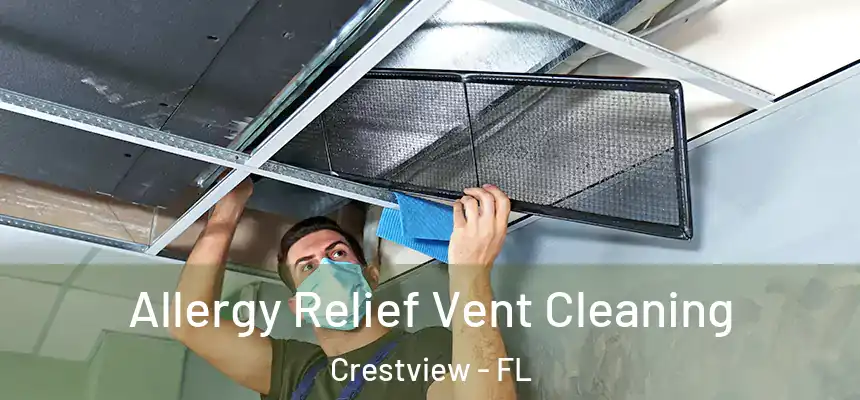 Allergy Relief Vent Cleaning Crestview - FL