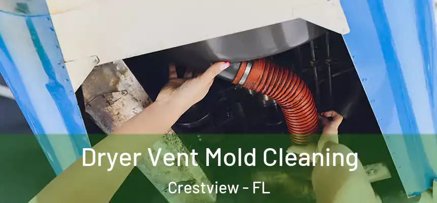 Dryer Vent Mold Cleaning Crestview - FL