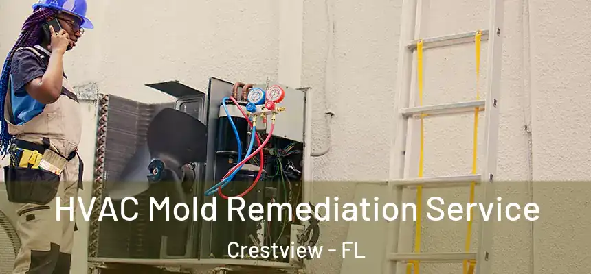 HVAC Mold Remediation Service Crestview - FL