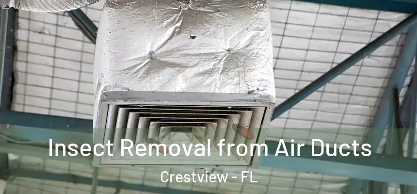 Insect Removal from Air Ducts Crestview - FL