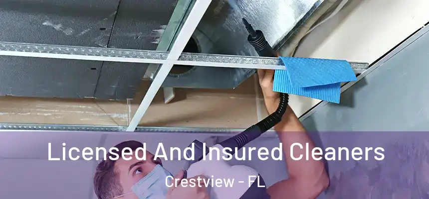 Licensed And Insured Cleaners Crestview - FL