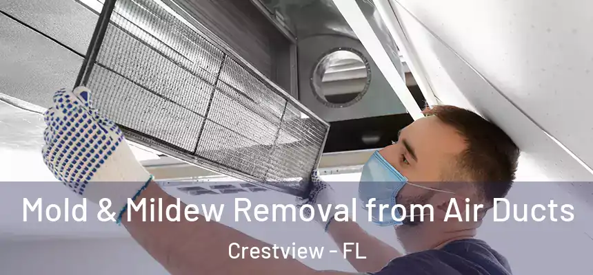 Mold & Mildew Removal from Air Ducts Crestview - FL