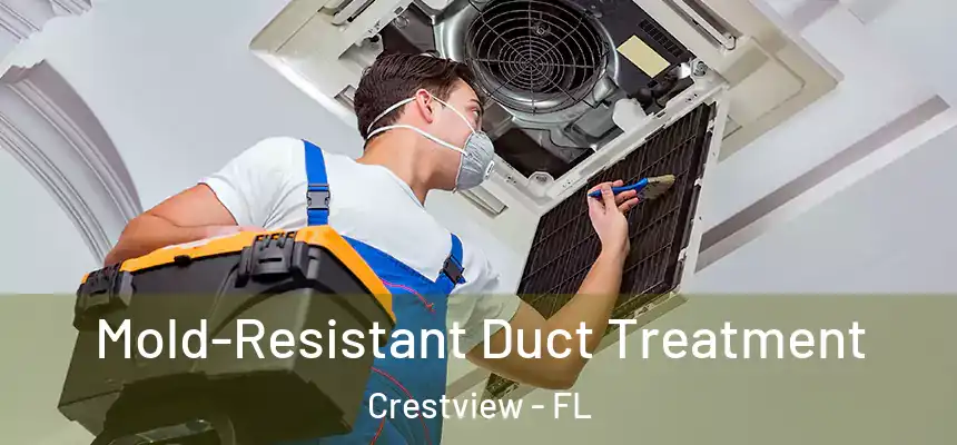 Mold-Resistant Duct Treatment Crestview - FL