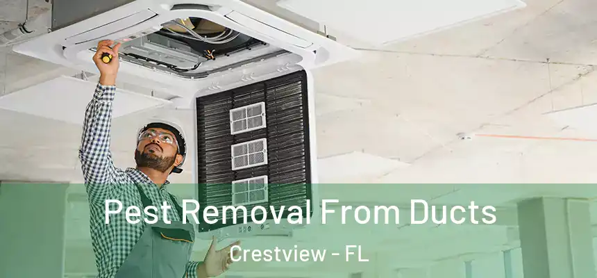 Pest Removal From Ducts Crestview - FL