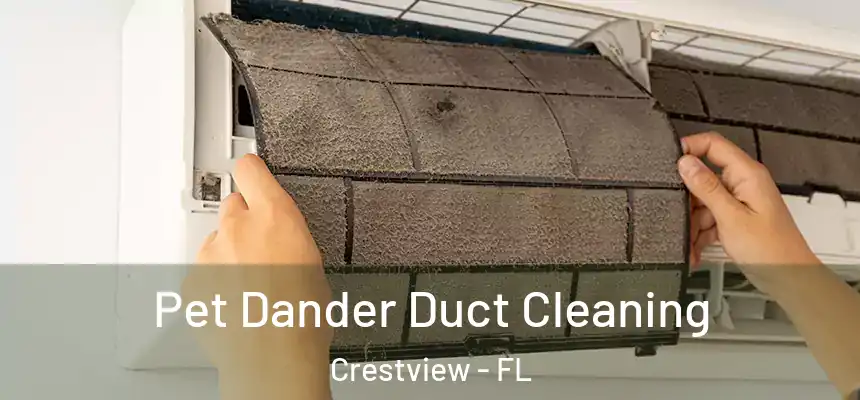 Pet Dander Duct Cleaning Crestview - FL