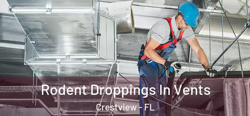 Rodent Droppings In Vents Crestview - FL