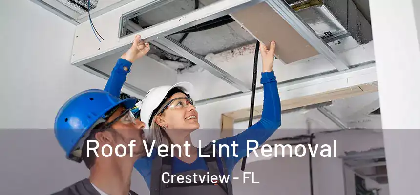 Roof Vent Lint Removal Crestview - FL