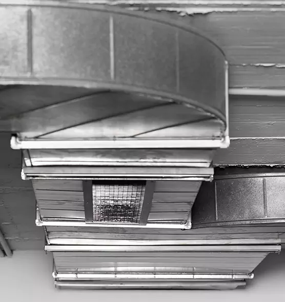 Professional Air Duct Pest Removal in Crestview, FL