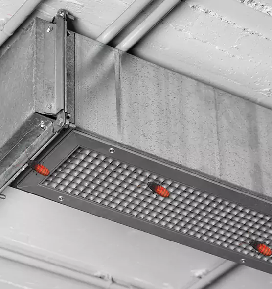 Affordable Insect Removal from Air Ducts in Crestview, FL