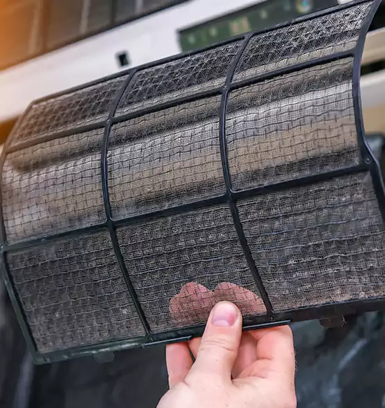 About Pet Dander Duct Cleaning in Crestview, FL
